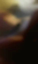 Couplebi