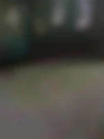 JJK123