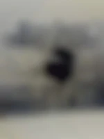 Suceavalesmoi11