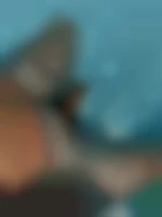 Planbi49