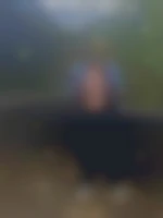 Lapelosadu974