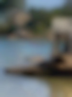 Cho28