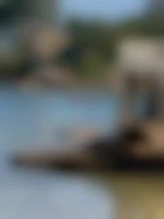 Cho28