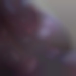 Oliv2209