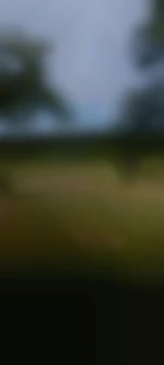 Hhhh
