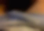 Gaymeaux
