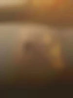 Matt