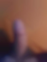 Petitbear2