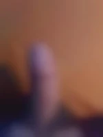 Petitbear2