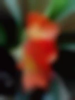 Fredsophie80