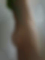 Coquin4064