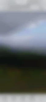Moi7782