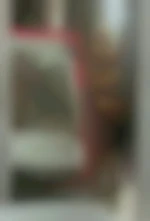 pat95