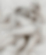 clyd34
