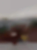 CAT+