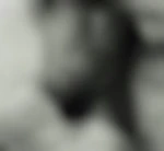 Titicul