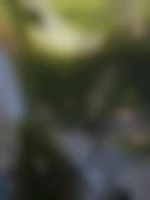 ManLib