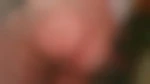 Diablotin77