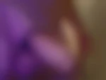 bigdadd