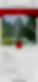 Geyser