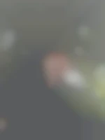 greg43