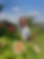 Enviedemecs1