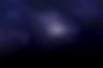 Bio