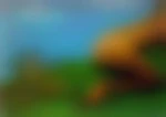 Bmoise