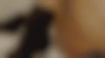 Vv