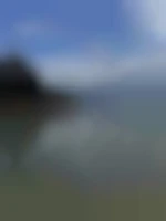 Pierre50