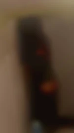 Travdisponow