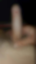 Pticoquin11