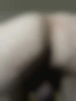 Laur
