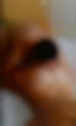 Theo02100