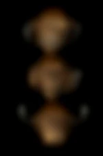 HALE