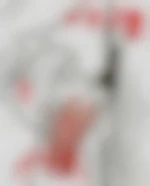Sucebite04