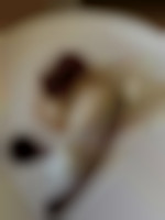 Candaudeb38
