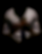 Hardchoco69