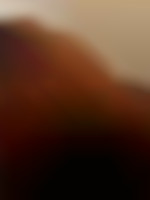 Mecpassifdocile