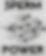 Photo de Creampielover