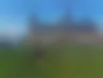 Gay65