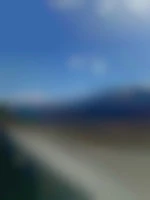 drogolobo