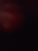 Mecchaudbi