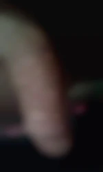 teddybear22