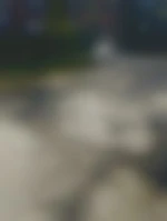 Kikou65