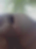 Nounoursbearpom