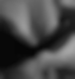 undeuxtrois42