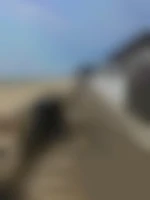 Dogging-85