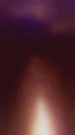 RealBWC