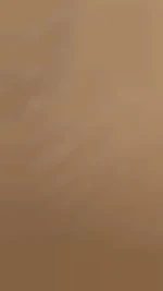 gggg